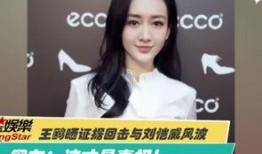 王宇媳妇爆料新闻视频大全,揭秘背后惊人真相