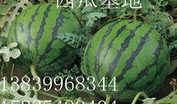 新瓜最新爆料潍坊,揭秘背后惊人真相