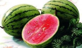 51娱乐网红吃瓜,揭秘娱乐圈幕后真相